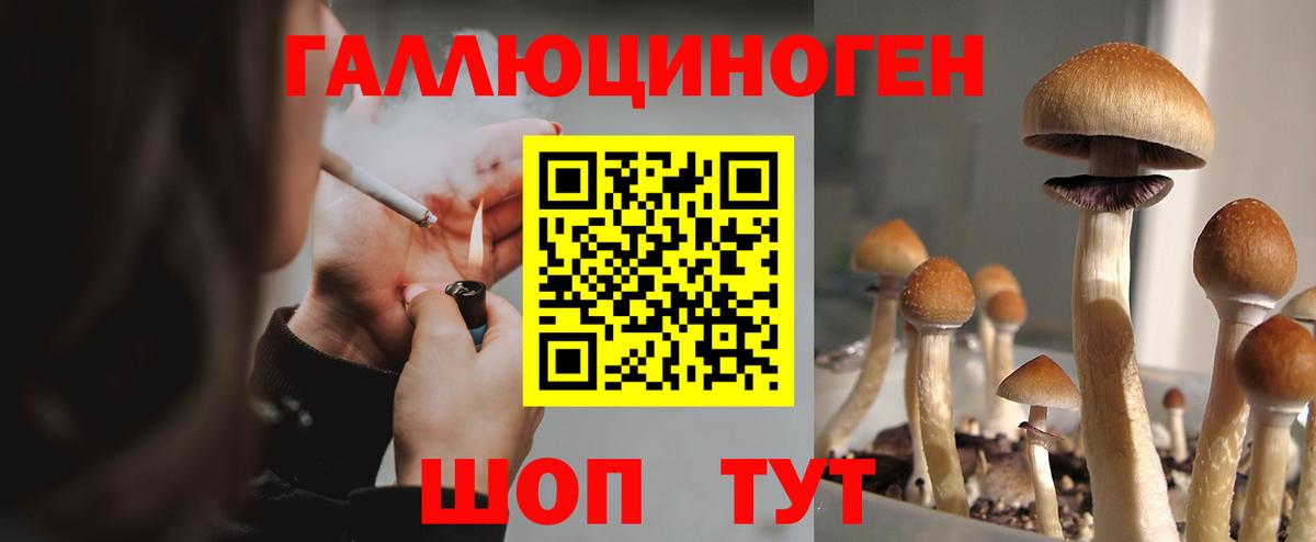Люберцы  хочу   Вход с VPN  Галлюциногенные грибы GOLDEN TEACHER 